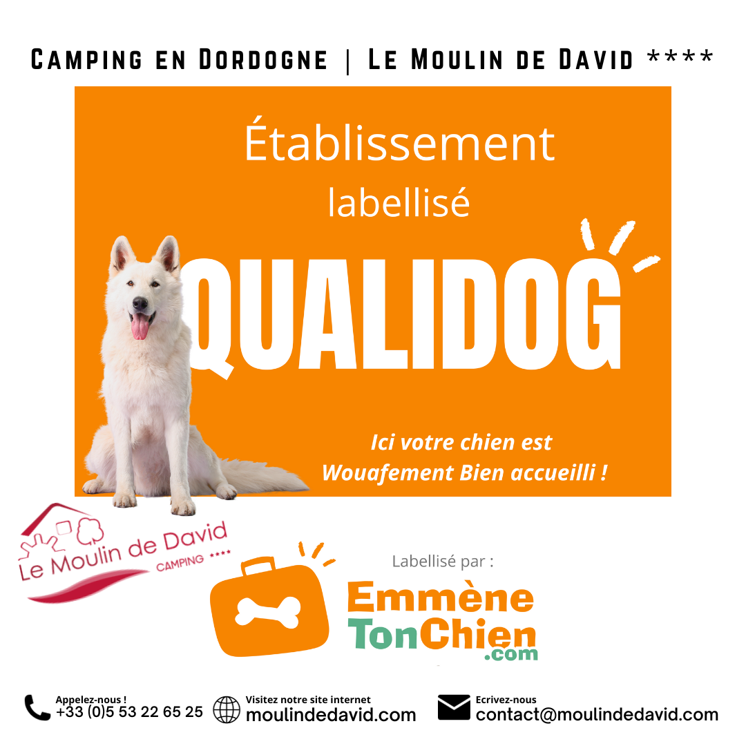 Label Qualidog au camping Le Moulin de David