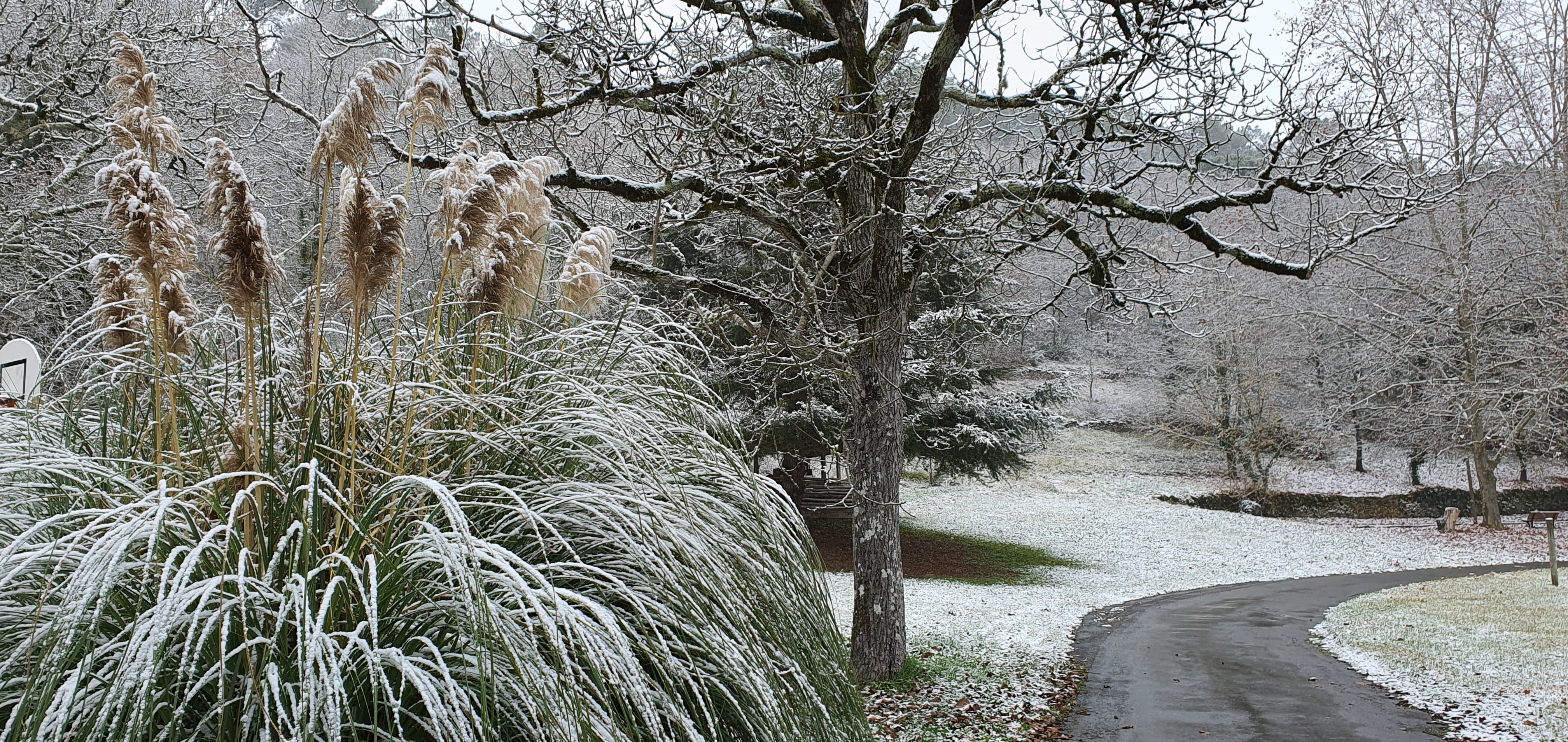 neige au parc du camping le moulin de David - Dordogne