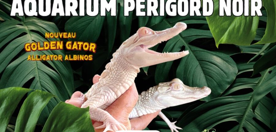 aquarium dordogne aquarium dordogne