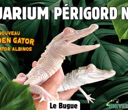 aquarium dordogne